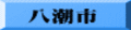 八潮市