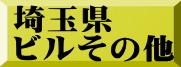 埼玉県 ビルその他
