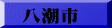 八潮市