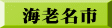 海老名市