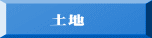 土地