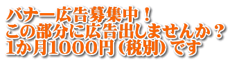 バナー広告募集中！ この部分に広告出しませんか？ １か月１０００円（税別）です