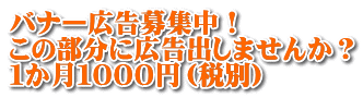 バナー広告募集中！ この部分に広告出しませんか？ １か月１０００円（税別）